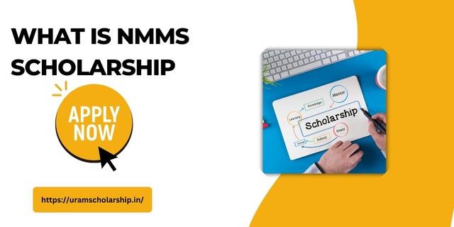 What is NMMS Scholarship