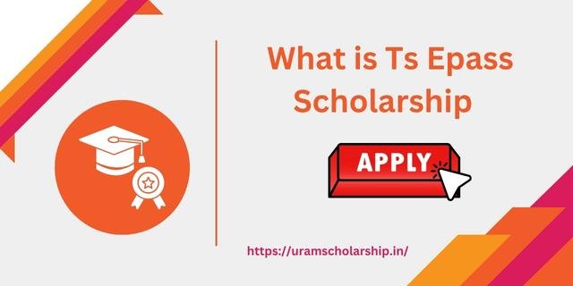 Check Out TS Epass Scholarship All Details Features and Benefits 