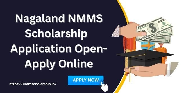 Nagaland NMMS Scholarship