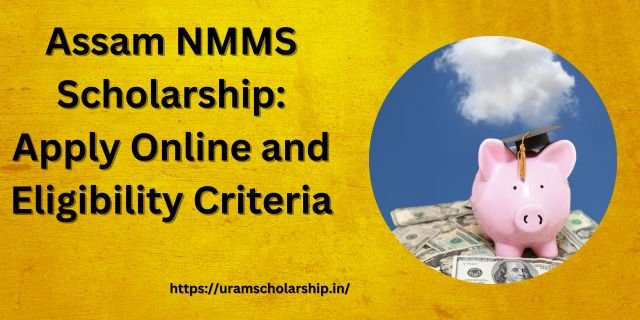 Assam NMMS Scholarship