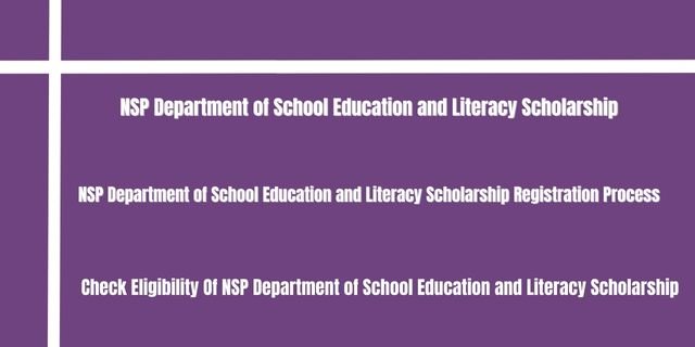 NSP Department of School Education and Literacy Scholarship 
