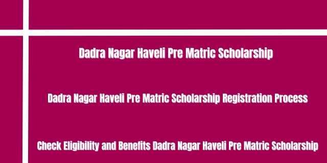 Dadra Nagar Haveli Pre Matric Scholarship