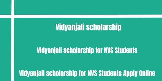 Vidyanjali scholarship 